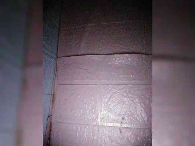 XXhornywetprincess99XX XXhornywetprincess99XX