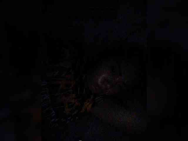 hornylittleprincess69 webcam