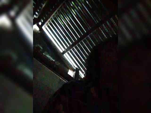 hornylittleprincess69 webcam