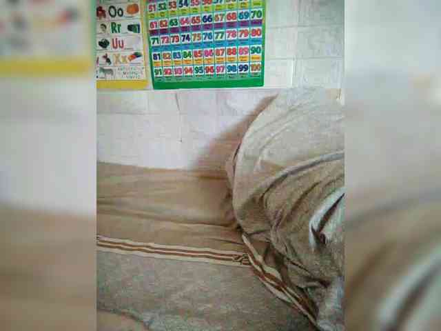 hornylittleprincess69 webcam