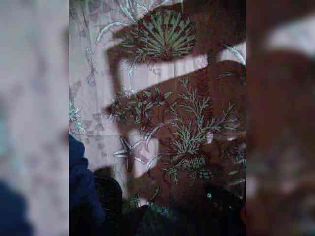 XXhornywetprincess99XX