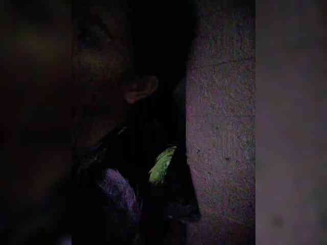 XXhornywetprincess99XX