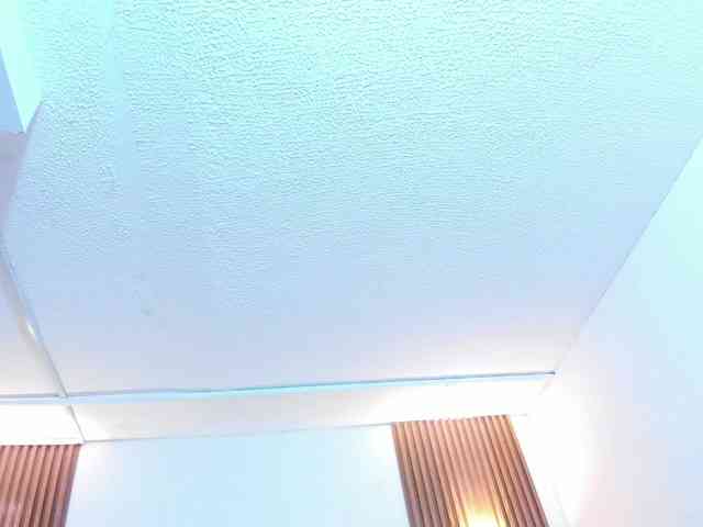 taylor-anastasia Live Webcam on BongaCams