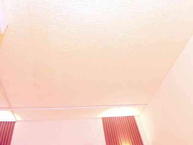 taylor-anastasia webcam