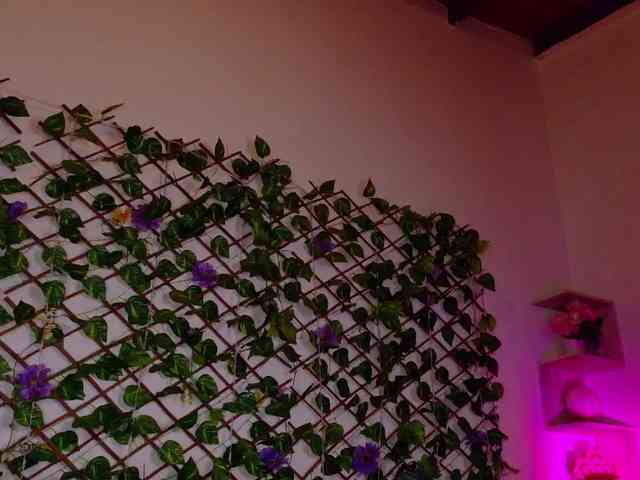 melody-cute10 webcam