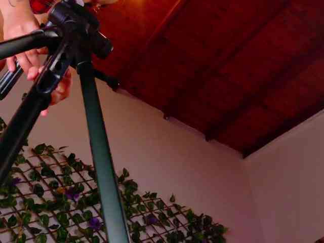 melody-cute10 webcam