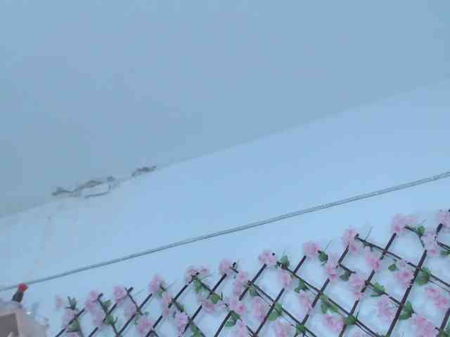 tiffany-gomez9 webcam