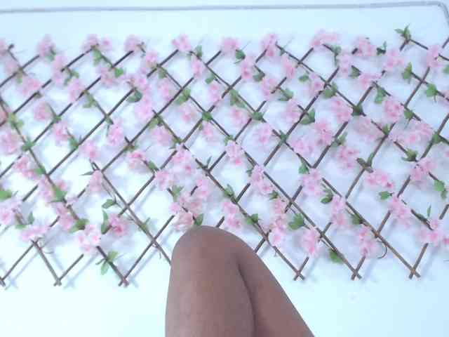 tiffany-gomez9 webcam