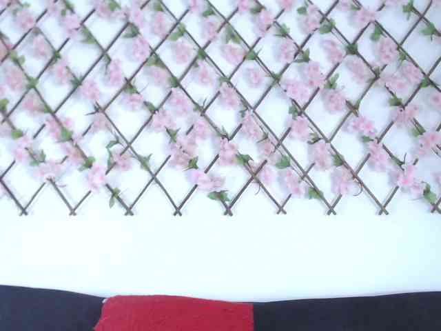 tiffany-gomez9 webcam