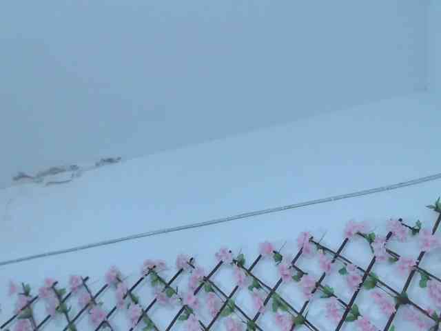 tiffany-gomez9 webcam