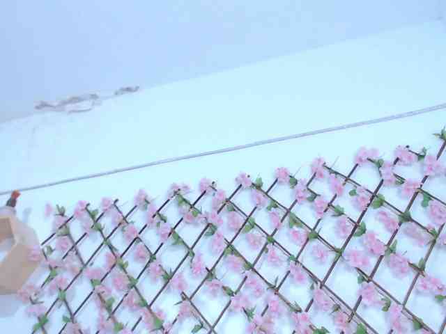 tiffany-gomez9 webcam