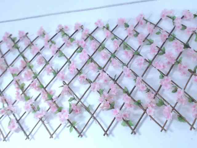 tiffany-gomez9 webcam