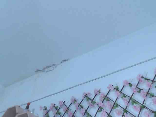 tiffany-gomez9 webcam