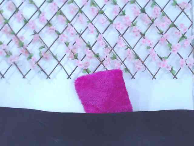 tiffany-gomez9 webcam