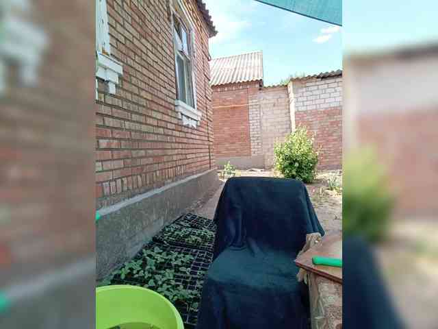 Koketka_nelegal webcam