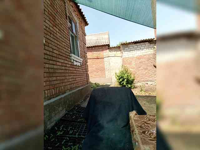 Koketka_nelegal webcam