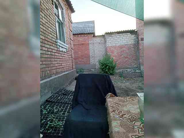 Koketka_nelegal webcam