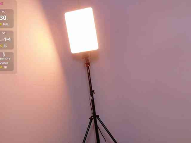 DirtyLittleSlut webcam