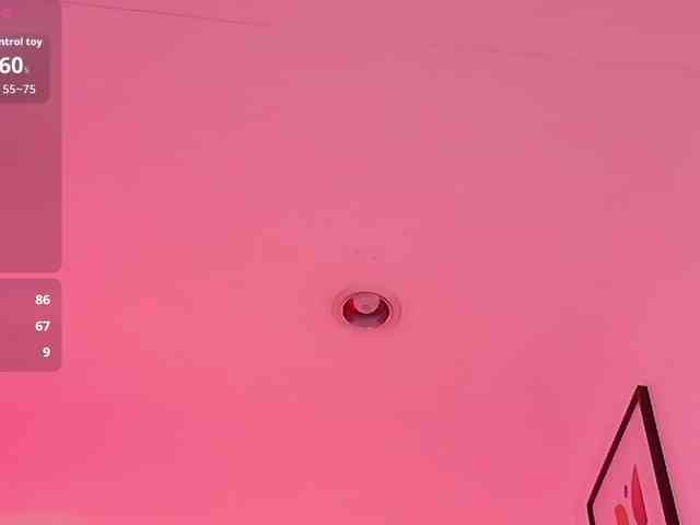 DirtyLittleSlut webcam