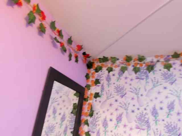 Amyhot webcam