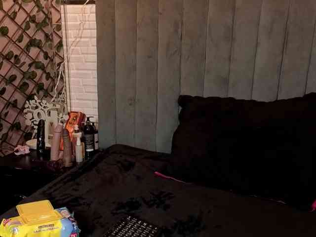 Amyhot webcam