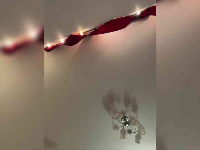 -Lana-Chester- webcam