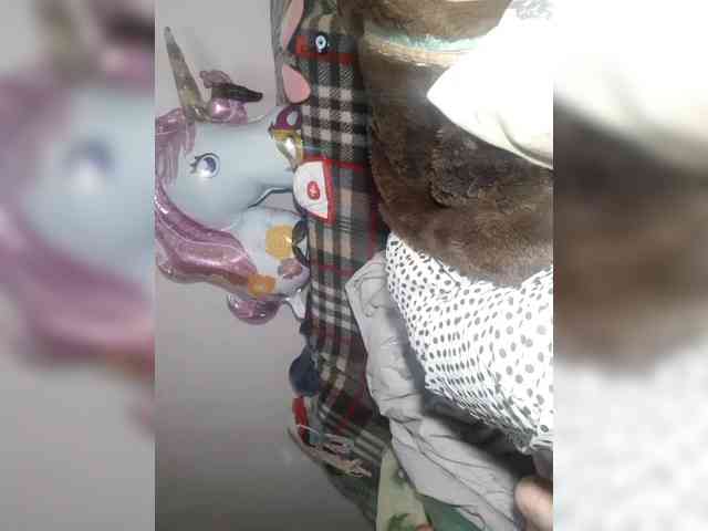 EksaCake webcam