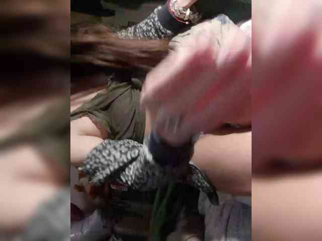 EksaCake webcam