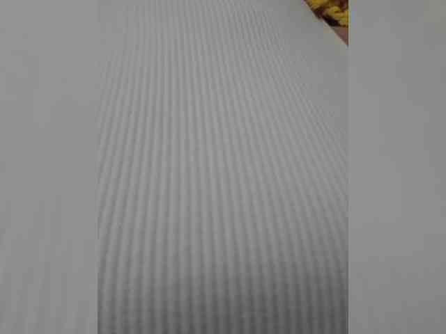 Fiona88 webcam