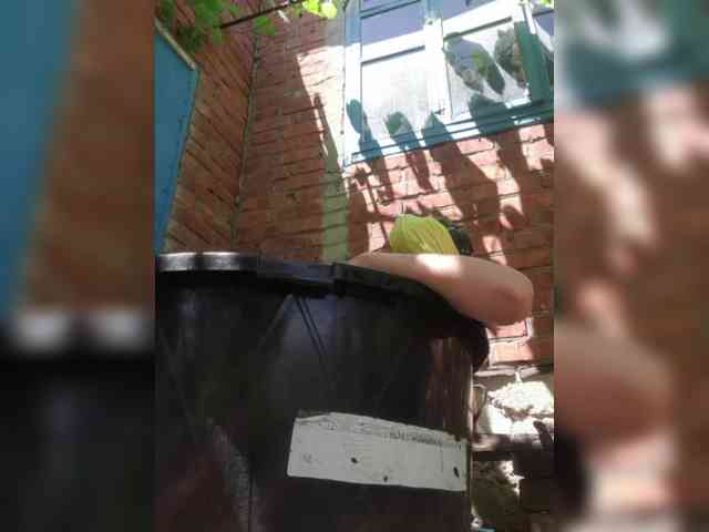 Fiona88 webcam