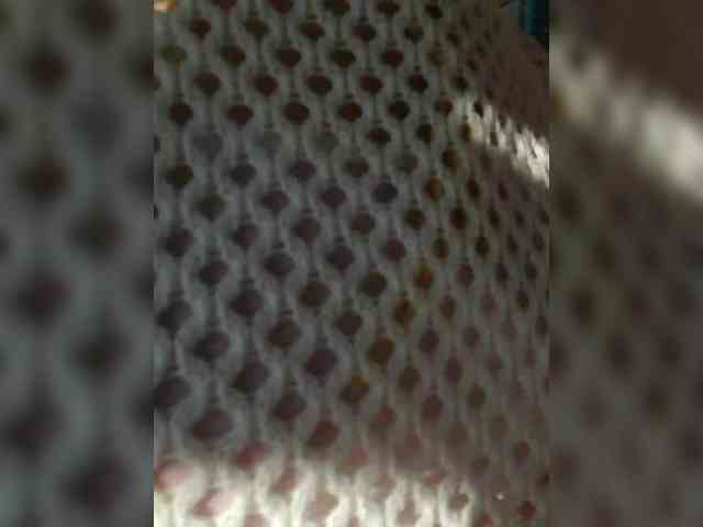 Fiona88 webcam