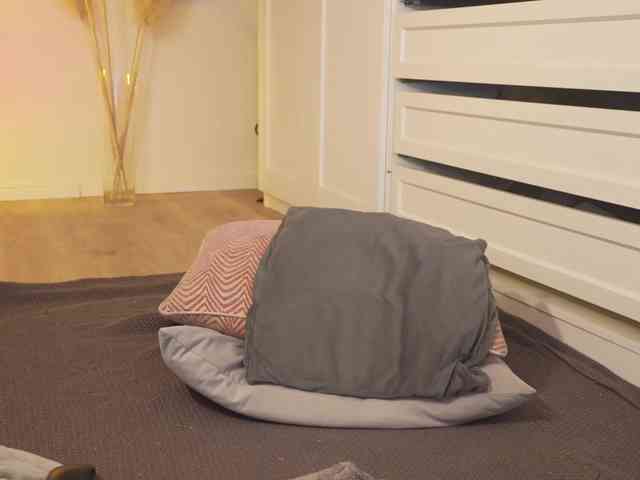 HotBella webcam