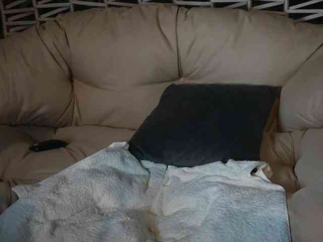 HotBella webcam