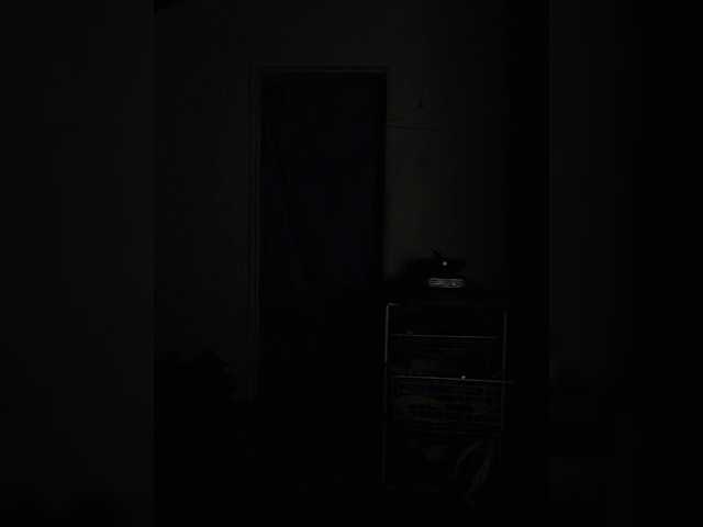 CleavageKING's BongaCams show and profile