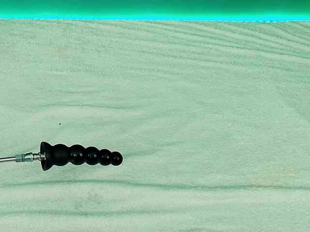 Emma-Donovani Emma-Donovani