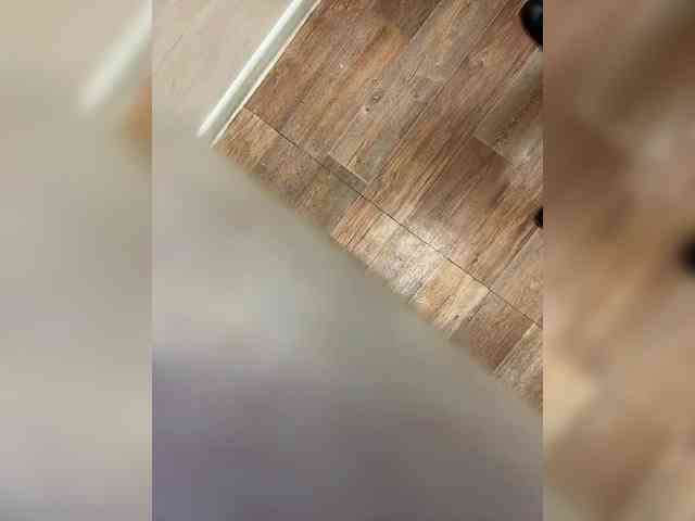 LustySass webcam