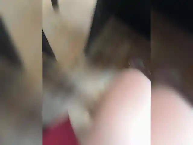 NikkySecrets