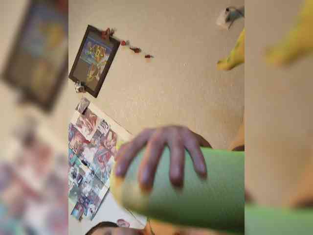 Oyster-lemon webcam