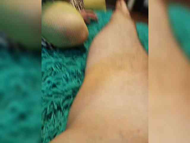 Oyster-lemon webcam