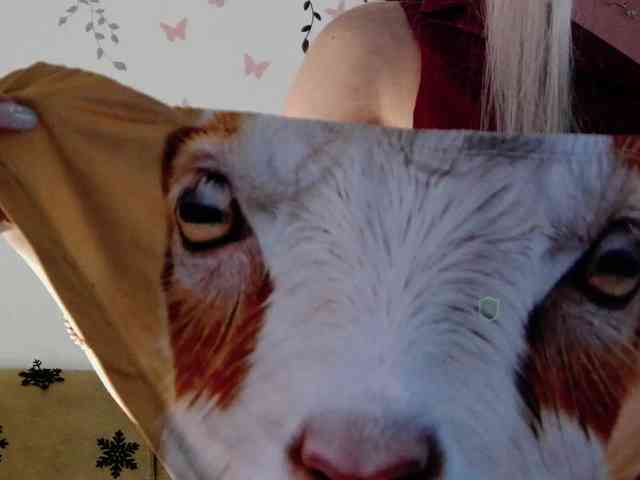 Kocmoc_Katerina webcam