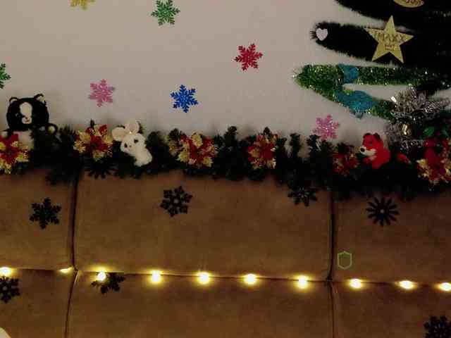 Kocmoc_Katerina webcam