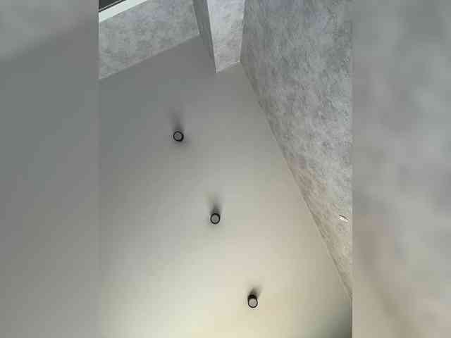 apple15promax webcam