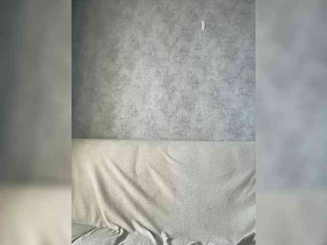 apple15promax webcam