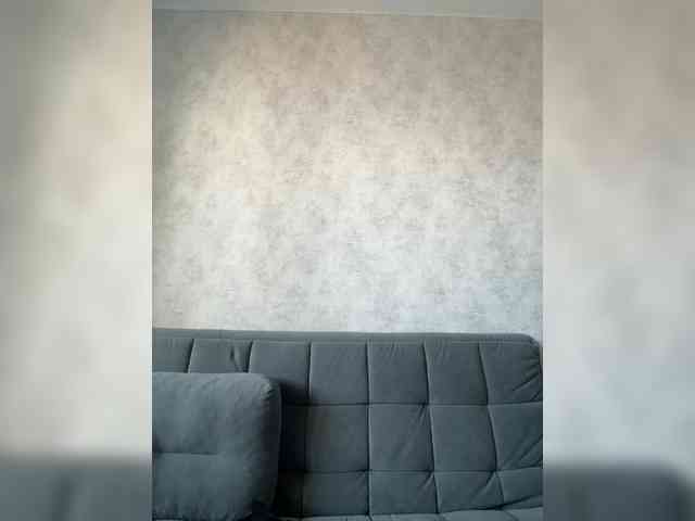 apple15promax webcam