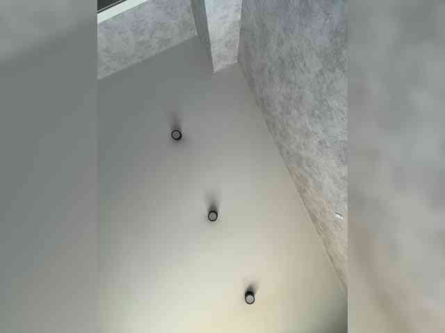 apple15promax webcam