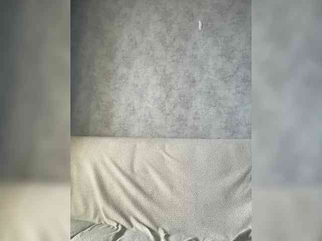 apple15promax webcam