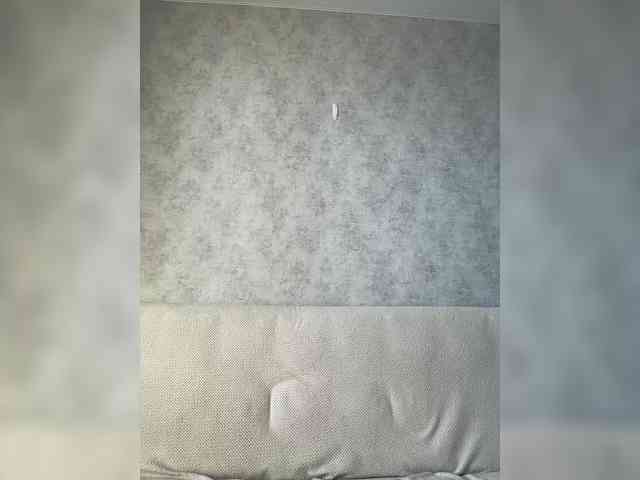 apple15promax webcam