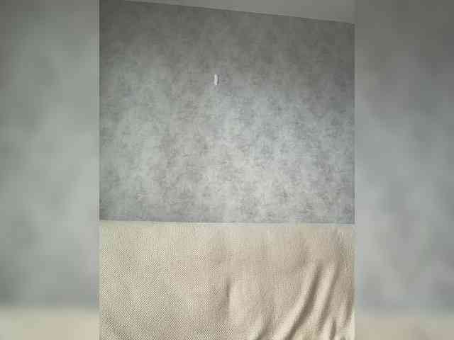 apple15promax webcam