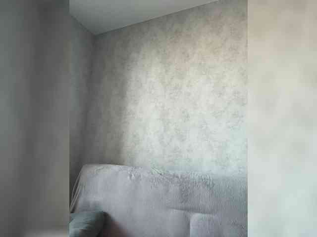 apple15promax webcam