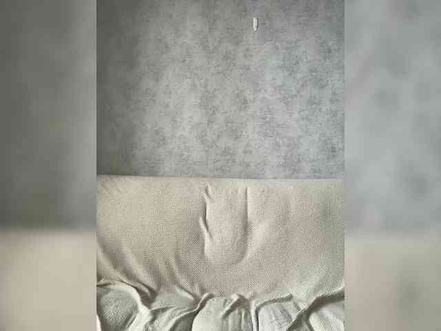 apple15promax webcam